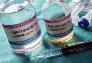 pentobarbital sodium injection